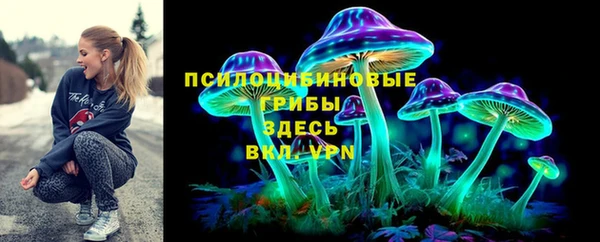 дурь Покачи