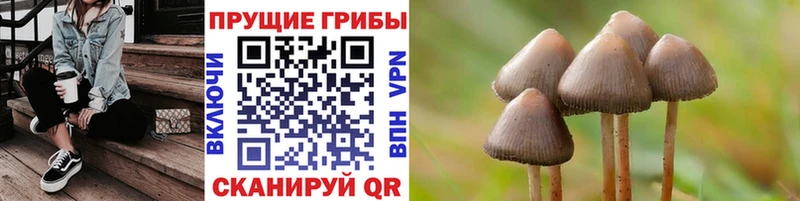Галлюциногенные грибы мицелий  Чекалин 
